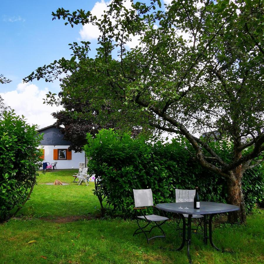 Bb19 Eifel-Ferienhaus Am Moseltal Mit Saunahaus Beuren  Экстерьер фото